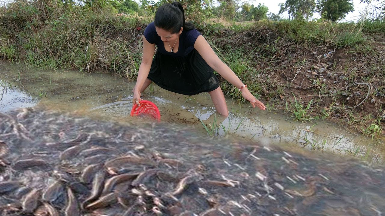 New Fishing 2025 - Amazing Fishing By Skill Hand In Dry Water