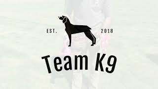How To Adjust Your Team K9 Harness For A Perfect Fit