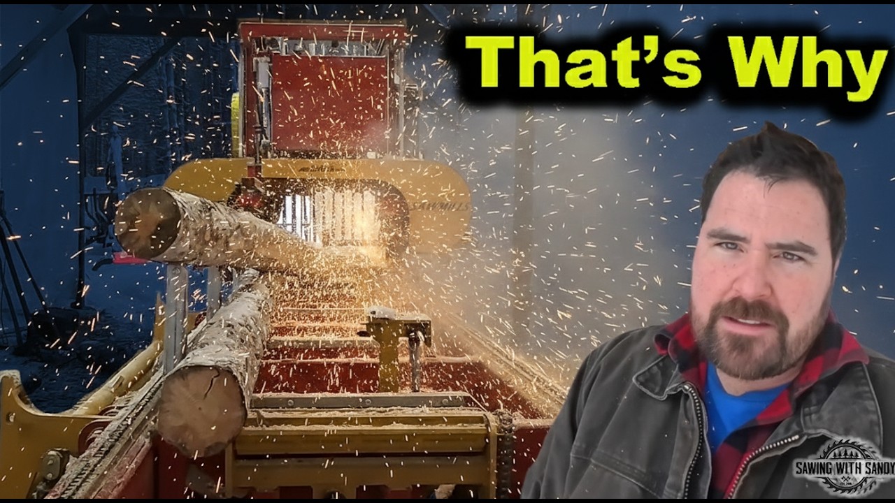 Я попытался распилить два бревна одновременно... НИКОГДА БОЛЬШЕ!