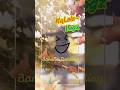 KaLols Logz mein bana banana pudding#ghoochadmoochadkhichdi #kalolslogz #funny #viralshorts #comedy