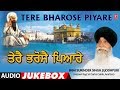 Tere bharose piyare  audio  shabad gurbani  bhai surinder singh  jodhpuri