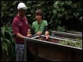 Karen Sutherland garden tour with Vasili's Garden TV Show