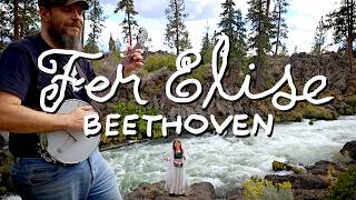 Beethoven - Fur Elise (Banjo Cover) 🪕