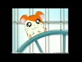 Hamtaro Trailer