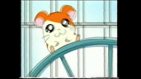 Hamtaro - Trailer