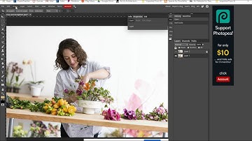 PhotoPea users: Straighten and Crop