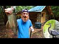 Why I Quit Youtube (the truth) - Pond Predators