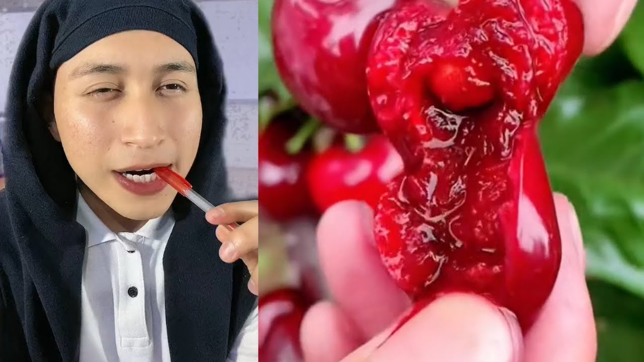#22 Frutas Satisfactoria Con Diego Chávez Ca 🎄 1 Hora 🌈 De Los Mejores Tiktoks de @Diego Chávez