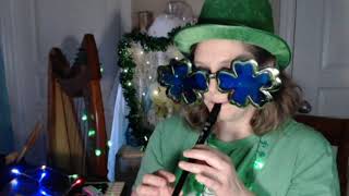 Home For A Rest - Spirit of The West [Harp and Tin Whistle Cover ] (Happy St. Pattys Day)