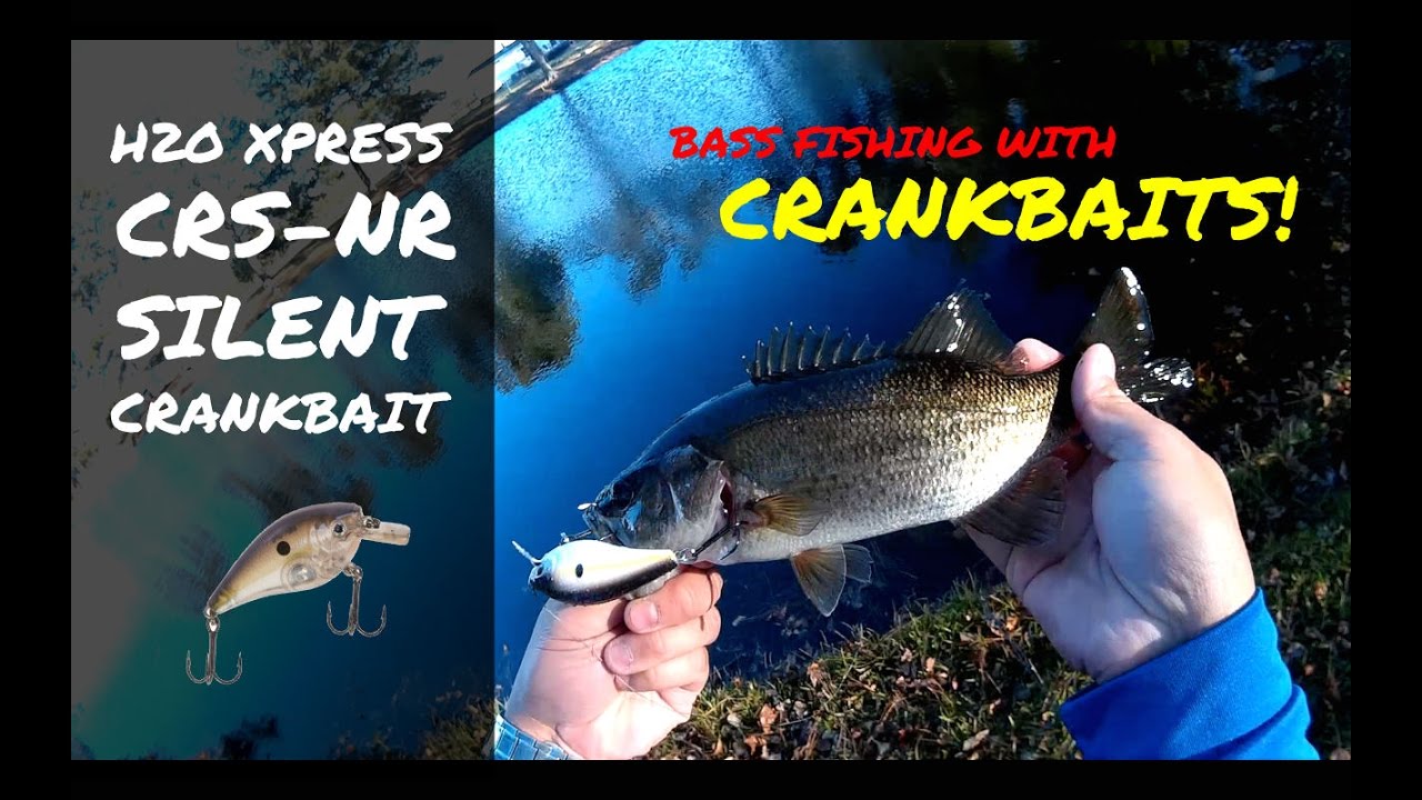 H2O Express Crankbait by Academy Sports  Best Budget Squarebill Out There?  
