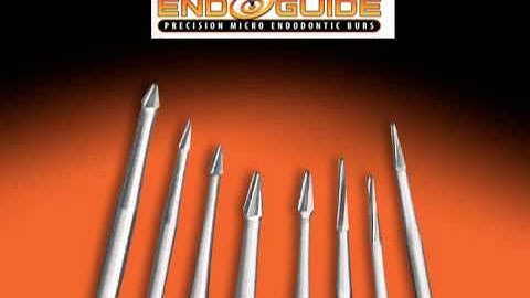 Endo Guide Burs, SSWhite