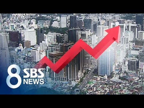 지난해 나랏돈 풀어 &amp;#39;간신히 2% 성장&amp;#39;…소비·투자 회복 / SBS