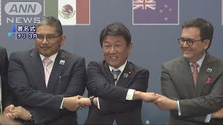 まもなくTPP11発効　輸入食品の値下げも(18/12/29)