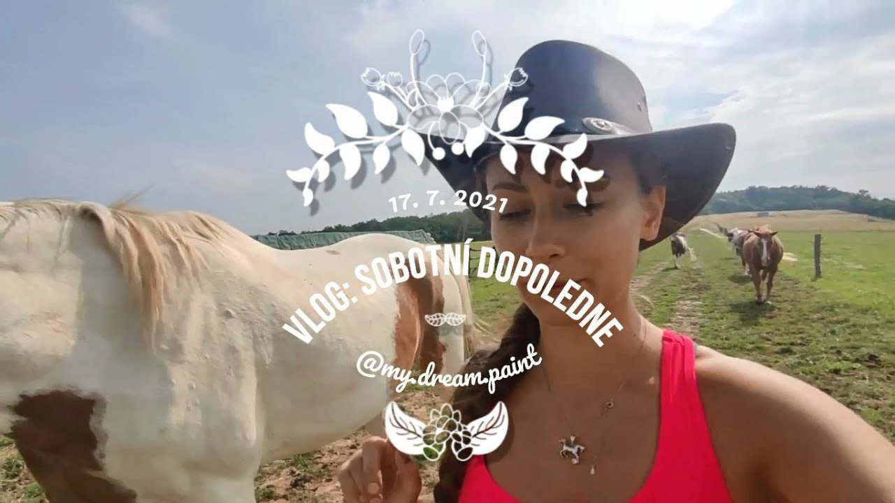 Vlog: Čestr zkouší sám obléct ohlávku? Cavesal a práce na lonži.