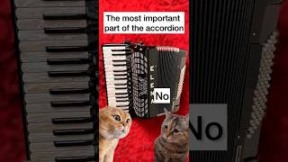The Most Important Part Of The Accordion.. How Do You Think? #Accordion #Music #Fun #Cats #Lessons