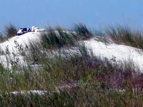 FLORIDA - Fort DeSoto