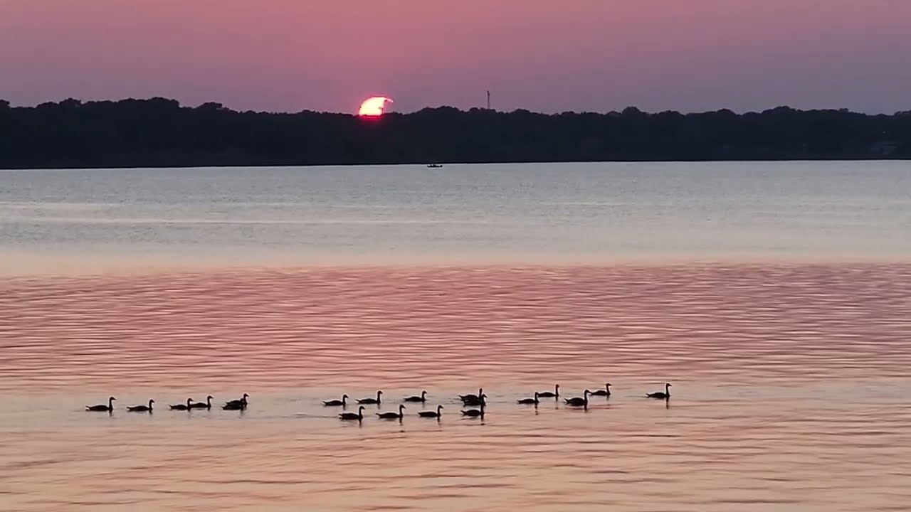 Flowing Wells at Lake Texoma