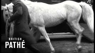 Horses From The East Aka Arab Horses 1946