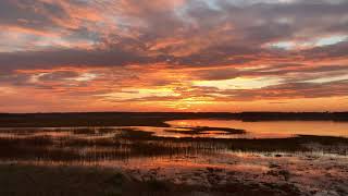 Spectacular Sunset over the Marsh with Relaxing Music