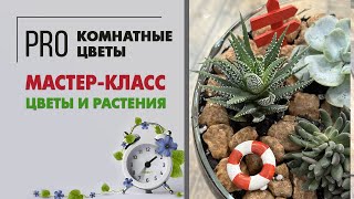 Мастер класс для детей и взрослых. Цветы и растения. Провести время с пользой