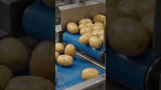 how to make a potato chips 😋