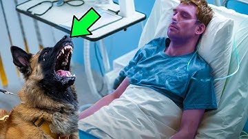 Dog Was About to Say Goodbye to Its Dying Owner, Then It Noticed Something ODD & Stopped the Doctor!