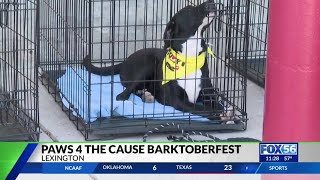 Barktoberfest draws crowds in Hamburg to benefit pet adoption, animal welfare