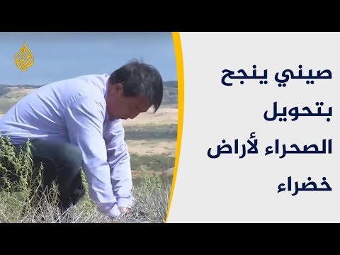 فيديو: هل يمكننا إعادة تأهيل الصحراء؟