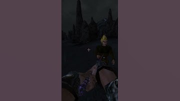 Killing the adoring fan in Morrowind every day until Skywind and Skyblivion are released Day - 266