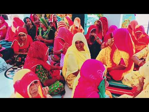 August 5, 2024 August 5, 2024