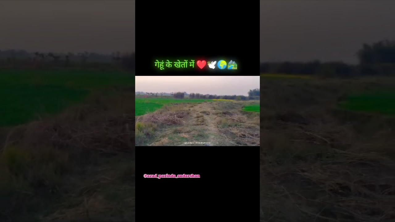 अपना गांव 💫✨😚  