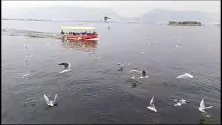 Anna Sagar jhil  #न्यू #विडियो ♥️my channel subscribe #bafati ali