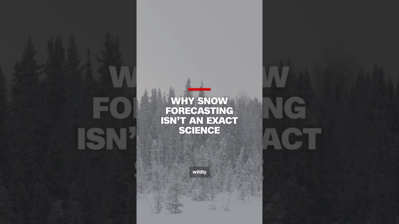 Why forecasting snowstorms isn’t an exact science.