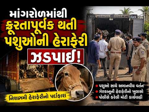 #surat | માંગરોળમાંથી ક્રૂરતાપૂર્વક થતી પશુઓની હેરાફેરી ઝડપાઈ | Drashtikon News