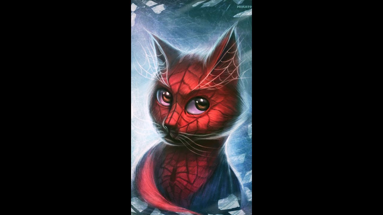 Кот с пауком рисунок