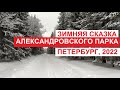 Зимняя сказка Александровского парка | Петербург, Царское Село, январь 2022