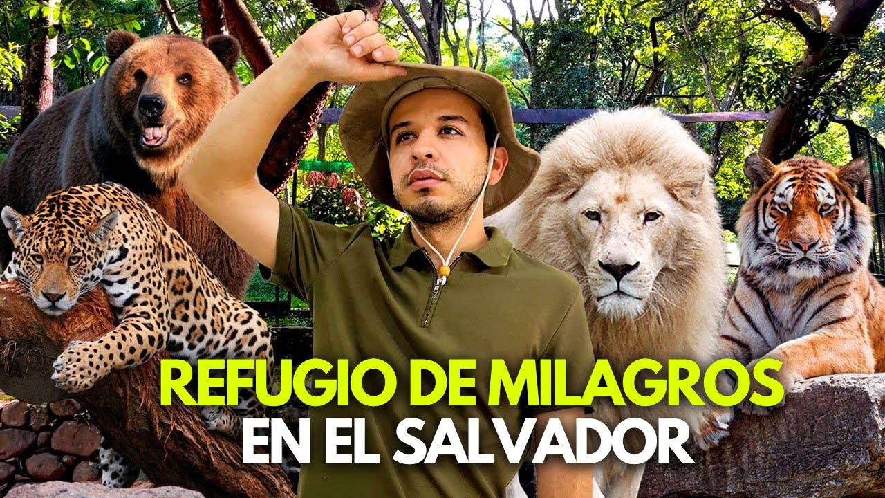 El ÚNICO REFUGIO de ANIMALES SALVAJES en EL SALVADOR 🇸🇻 