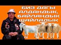 ТЫНАР&БОРОНЧУ//ЛЕГЕНДАРНЫЙ 120 КОЙ ОРГИНАЛЫ //ЭРТЕҢ ШАЙЛОО БҮГҮН КӨР.