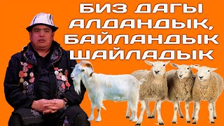 ТЫНАР&БОРОНЧУ//ЛЕГЕНДАРНЫЙ 120 КОЙ ОРГИНАЛЫ //ЭРТЕҢ ШАЙЛОО БҮГҮН КӨР.