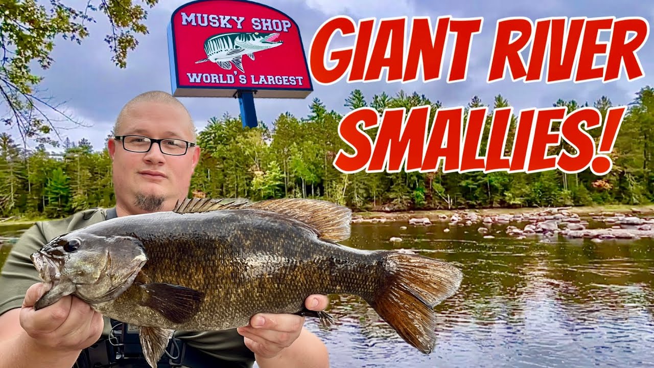 the-world-s-largest-musky-shop-catching-giant-river-smallmouth-youtube