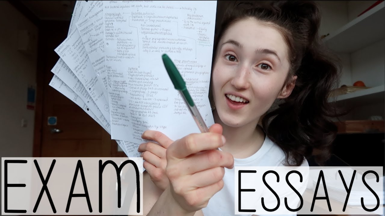 exam of essay