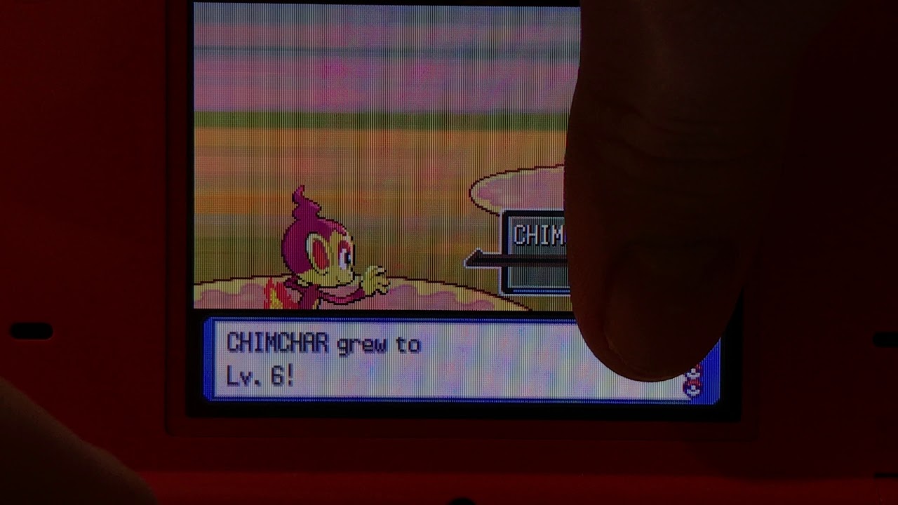 Live! Shiny Chimchar in Platinum after 1,632 SRs!