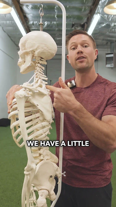 The Myth Of “Thoracic Mobility” - Stop Doing This! #mobility #posture #mobilitytraining
