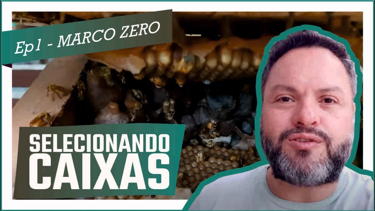 Ep.01- INÍCIO do PROJETO MARCO ZERO: SELECIONANDO as CAIXAS de BUGIAS