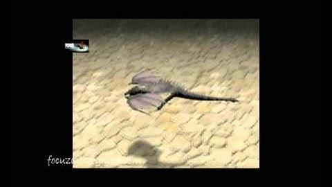 3ds max animation reel