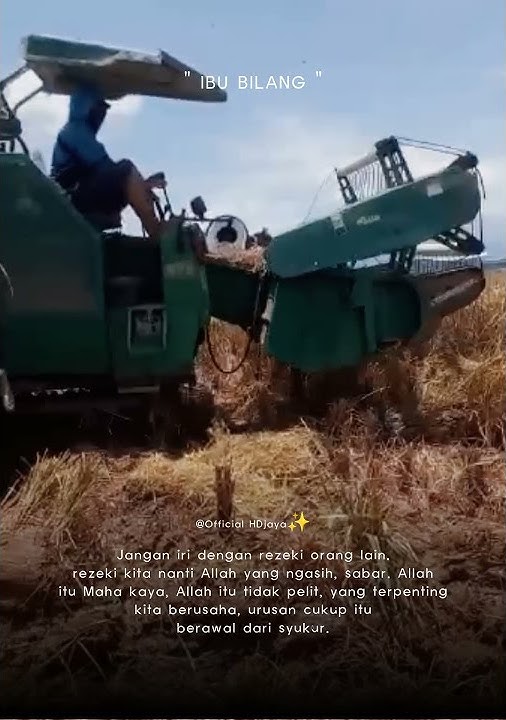 story wa combine padi.