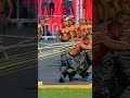 الشرطة المصرية معهد معاون الأمن وحوش مصر تحيا مصر