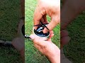 Video Image