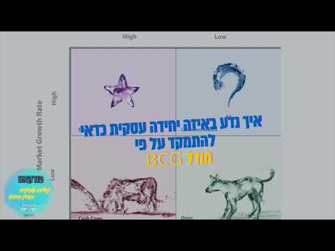 הקצאת משאבים בעסק על פי מודל BCG