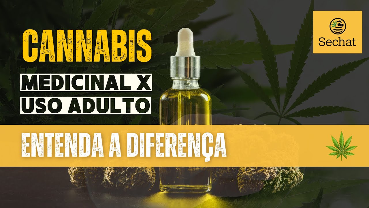 Cannabis medicinal vs uso adulto: entenda a diferença